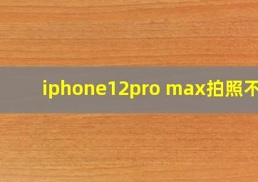 iphone12pro max拍照不行